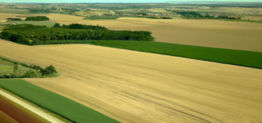 DLR: Hvad er Dansk Landbrugs Realkreditfond